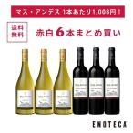 ショッピングワイン ワイン ワインセット エノテカ マス・アンデス赤白6本まとめ買い MA5-1 [750ml x 6] 送料無料（890920AO00C5）