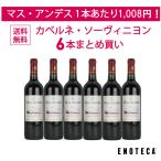 ワイン ワインセット エノテカ マス・アンデス カベルネ・ソーヴィニヨン6本まとめ買い MA6-2 [750ml x 6] 送料無料(890620MA17C3)