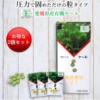 青汁国産有機オーガニック粒遠赤青汁V110粒×30包2個セット5％引き