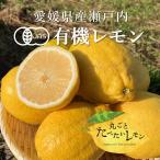  иметь машина лимон 2kg [ нет пестициды no- воск кожа .. еда ..... . местного производства Ehime префектура производство иметь машина культивирование бесплатная доставка ]