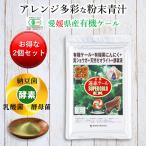 粉末 有機遠赤ケール SUPER GOLD EX 100g 2個セット5%引き