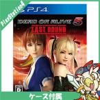 DEAD OR ALIVE5 Last Round/PS4