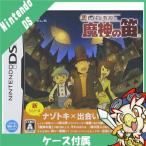 DS ニンテンドーDS レイトン教授と魔神の笛 特典無し ソフト ケースあり Nintendo 任天堂 ニンテンドー 中古