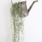 フェイクグリーン モシャモシャモス 観葉植物 フェイク グリーン インテリア 雑貨 いなざうるす屋