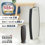 【日本総輸入代理店】 空気清浄機 フィルター交換なし イオニックブリーズ グランデ 40畳 ウイルス 小型 花粉 GRANDE MIDI QVC