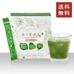 青汁 桑の葉美人 機能性表示食品 ポリシー化粧品 3g×50包 国内産 DNJ K-1乳酸菌 プラセンタ 大豆イソフラボン