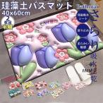 バスマット 珪藻土 大判 速乾 おしゃれ 珪藻土バスマット ソフト 3D 3Dタイプ 40x60cm  吸水マット 洗面所マット お風呂マット 抗菌 浴室マット