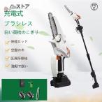 充電式 チェーンソー 高枝切り 電動  ブラシレス バッテリー付 最長2.25m 角度調節可能 着脱式ポール 伸縮チェーンソー