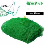 養生ネット グリーンネット 25mm目 防球ネット 折りたたみ 鳥よけネット グリーン 野球 防鳥ネット カラス グリーンネットフェンス