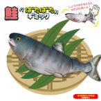 ショッピングtv ≪TVで紹介されました≫【 プレゼント ギフト 誕生日 クリスマス 子供 面白雑貨 赤ちゃん寝る 鮭 】アミューズ 鮭ばたばたギミック
