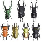 クワガタ おもちゃ 立体甲虫図鑑 世界のクワガタ　37189