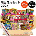 ショッピング花火 No.6　送料無料！噴出花火セット2024（26本入）