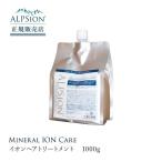 【3個セット】 ALPSion アルピジョン イオンヘアトリートメント 1000g 詰替え用 トリートメント