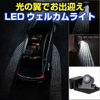 LED ウェルカムライト アンダーライト アンダーネオン 車載