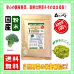 国産 ブロッコリー 粉末 300g 熊本・宮崎県産 ぶろっこりーパウダー 業務用 (残留農薬検査済み) 送料無料 北海道 沖縄 離島も無料配送可 森のこかげ 売筋粉