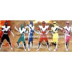  костюм зентай правильный .. тест person DX wing вечеринка Ranger 