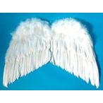 天使の羽根・悪魔の羽根　50cm×76cm