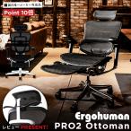 ショッピングエルゴ エルゴヒューマン プロ2 オットマン内蔵型 Ergohuman Pro2 ラチェット式オットマン /EGP2 【完成品】