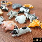 衿秀公式帯留め帯留おびどめ動物送料...