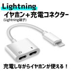 ショッピングlightning lightning イヤホン 充電 同時接続アダプタ 音楽再生 動画再生 リモコン 通話