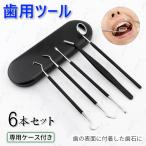 зуб камень брать . прибор 5 шт. комплект Япония внутренний этот день отправка уход за зубами дом для зубной tool зуб промежуток yani зуб . брать . собственный уход неприятный запах изо рта предотвращение ... брать . из нержавеющей стали #br14