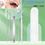  зуб камень брать . Япония внутренний этот день отправка 5 позиций комплект уход за полостью рта .... tang скребок зуб yani брать .... брать . уход за зубами профессиональный нержавеющая сталь зуб зеркало #br184