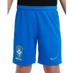 コパ・アメリカ2024 アメリカ大会 ブラジル代表 オフ