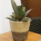 シンセティックラタン 鉢カバー Sサイズ グレー ブラック 鉢カバー 4号 3号 おしゃれ 北欧 観葉植物 籐 バスケット かご 収納 アジアン バリ インテリア