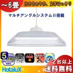 NEC LED洋風ペンダントライト 調光タイプ~6畳 HCDA0668-X ペンダント