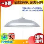 ホタルクスNECHCDB0853-...