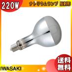 [ бесплатная доставка ] скала мыс NHR220LSnatolium лампа 220W прозрачный форма E39