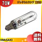 [ бесплатная доставка ] скала мыс NHT70LSnatolium лампа 70W флуоресценция форма E26