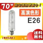 [ бесплатная доставка ] скала мыс NHT70FSDX высокого давления natolium лампа 70W рассеивание форма . свет цвет E26