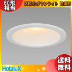 ホタルクス NEC MRD06013(RP)BW2/L-1 SB形LEDダウンライト(防滴形) 埋込穴φ125 一般電球60形相当 電球色 2700K Ra84 断熱対応「送料無料」