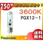 [ бесплатная доставка ] Panasonic MT250E-WW-PG/N металлогалогеновая лампа 250W 250 форма прозрачный форма PGX12-1 MT250EWWPGN