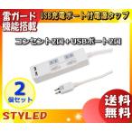 STYLED STP2UA2W-2 USB充電ポート付電源タップ ホワイト STP2UA2W2 「送料無料」 「2個まとめ買い」