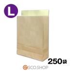 あすつく 宅配袋 クラフト 大 Lサイズ 250枚 茶色 テープ付き 400*320*115mm 無地 250袋 日本製 梱包袋 梱包資材 紙袋 bagL 送料無料 同梱不可