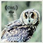 dip／OWL 【CD】