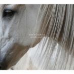 The Florist／Blood Music 【CD】