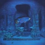 . лампочка нижний ground |. лампочка нижний ground [CD]