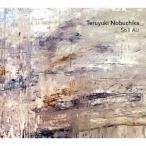 テルユキ・ノブチカ／スティル・エアー 【CD】