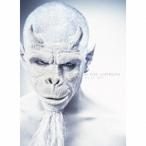 DIR EN GREY／SUSTAIN THE UNTRUTH(初回限定) 【CD+DVD】