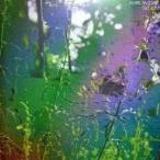 Mark McGuire／Get Lost 【CD】