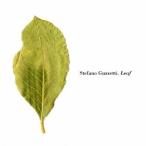 ステファノ・グッツェッテイ／Leaf 【CD】