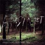 Takuma Watanabe／Ansiktet 【CD】