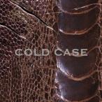 vistlip／COLD CASE《通常vister盤》 【CD+DVD】