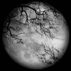 LUNA SEA／LUNA SEA 【CD+DVD】