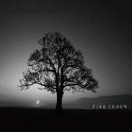 FIRE ARROW／クオリア 【CD】