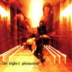 MADBEAVERS／The highest phenomena 【CD】