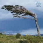 PRISM／What You See 【CD】